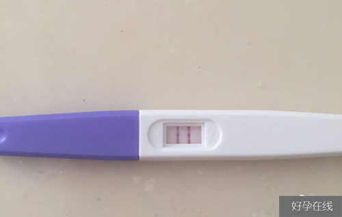 受精卵着床成功才算怀孕吗