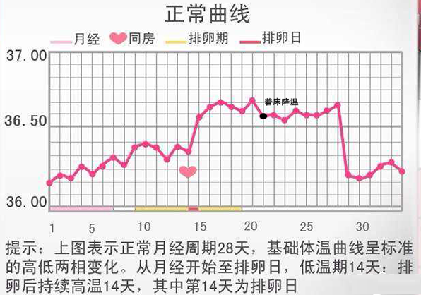 着床降温体温变化