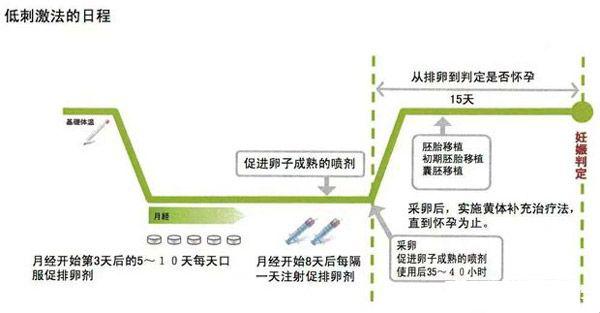 微刺激方案的流程