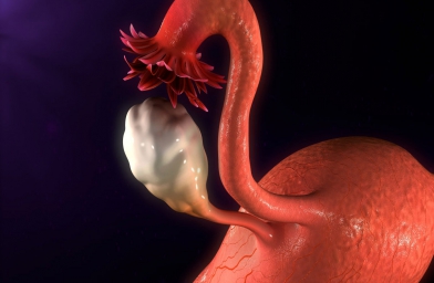 安徽干细胞治疗卵巢早衰，患者顺利分娩健康宝宝