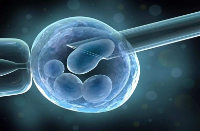安徽格鲁吉亚ReproArt诊所专家解释取卵对卵巢的伤害大吗？