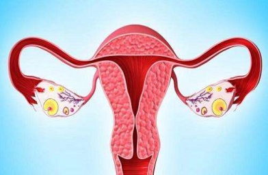 安徽格鲁吉亚ReproArt诊所专家解释取卵后卵巢该如何保养？